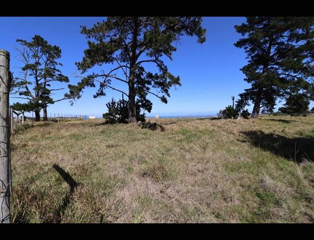 FARM FOR SALE IN GEORGE RURAL